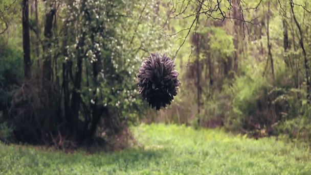 MajicalCloudz_BugsDontBuzz