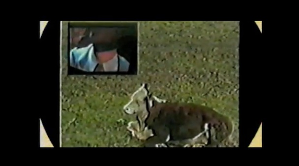 Dads - Invisible Blouse video