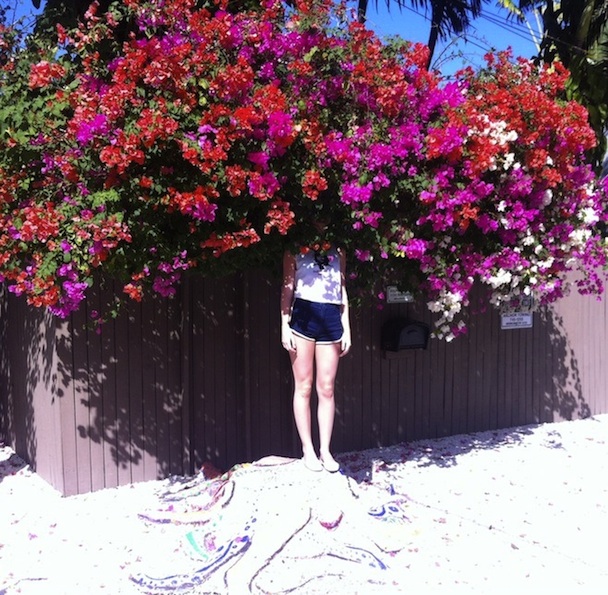 ElfPower_SunlightOnTheMoon