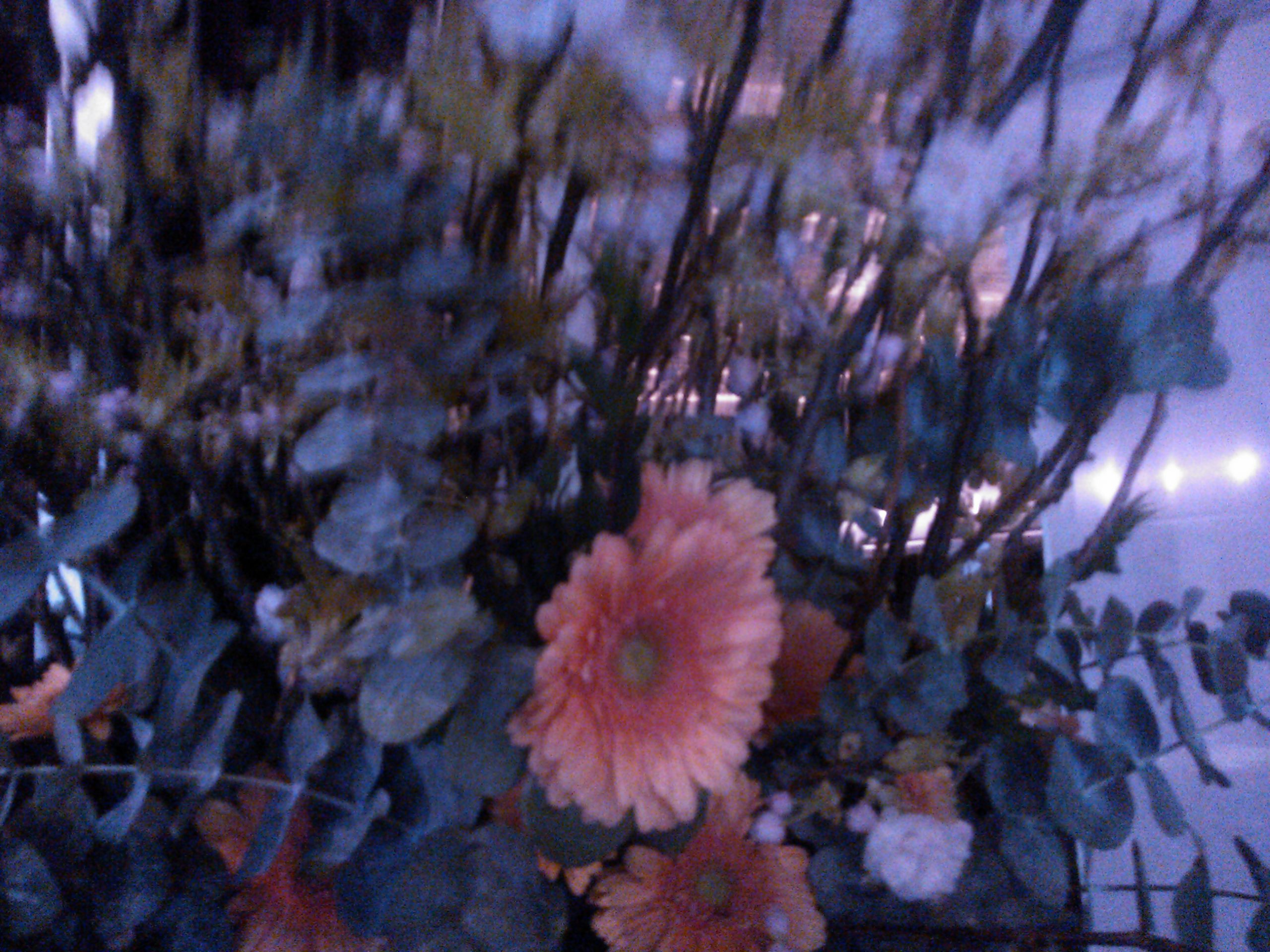 Ramesh - "Youth Trip"