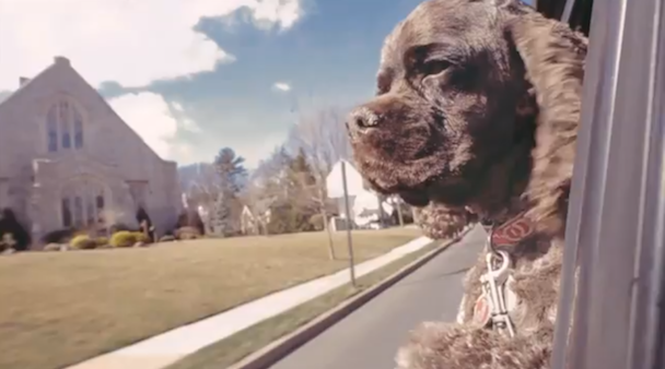 Julian Lynch - "Northline" Video