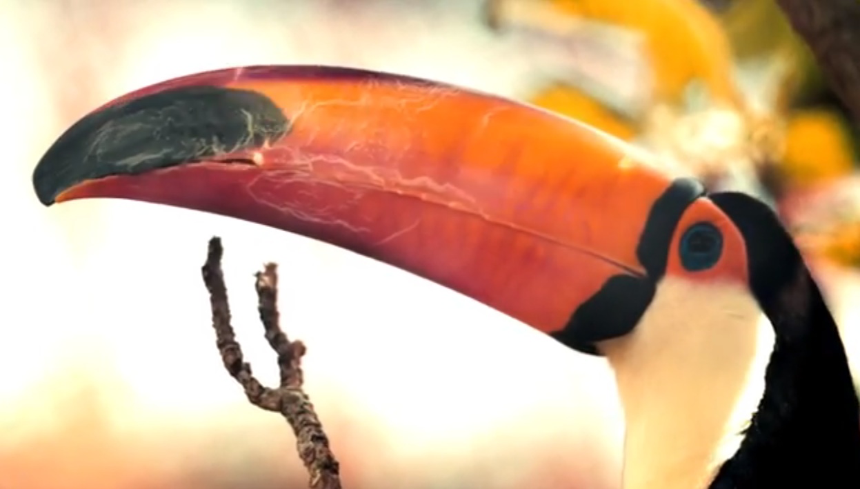 Washed Out - "Don't Give Up" video