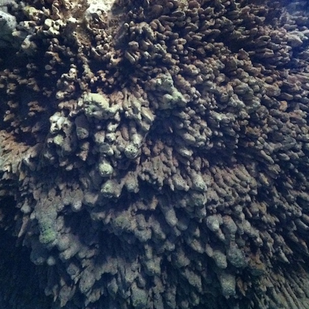 Active Child - Rapor