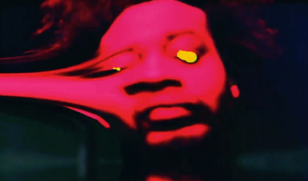 Danny Brown - "ODB" video