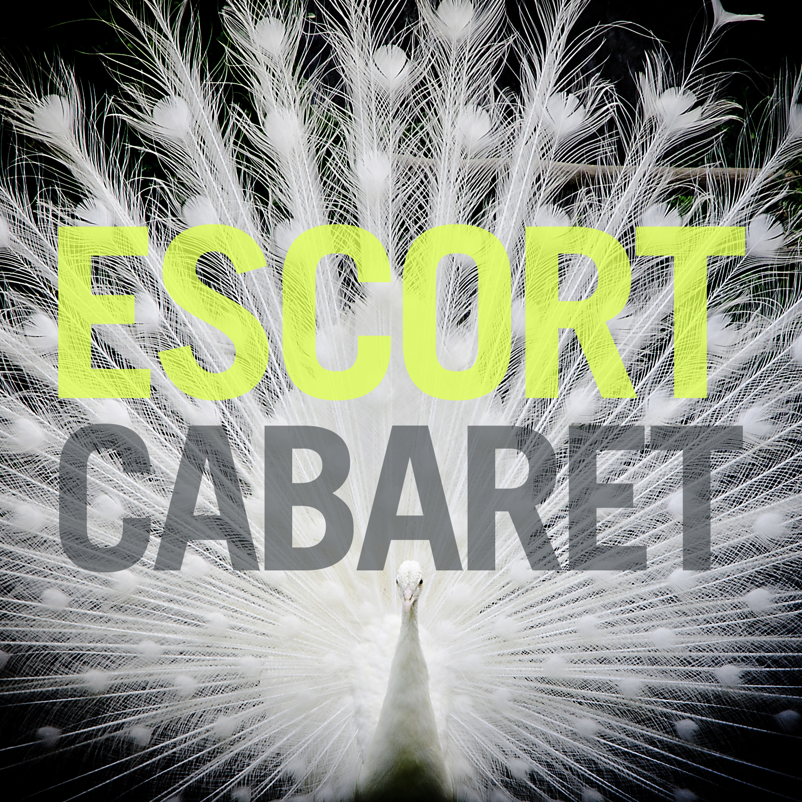Escort - "Cabaret"