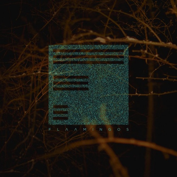 Flaamingos_Flaamingos_608x608