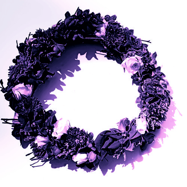 Korallreven_TryAnythingOnce_608x608