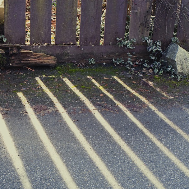 "Distant Ships" - Rose Melberg