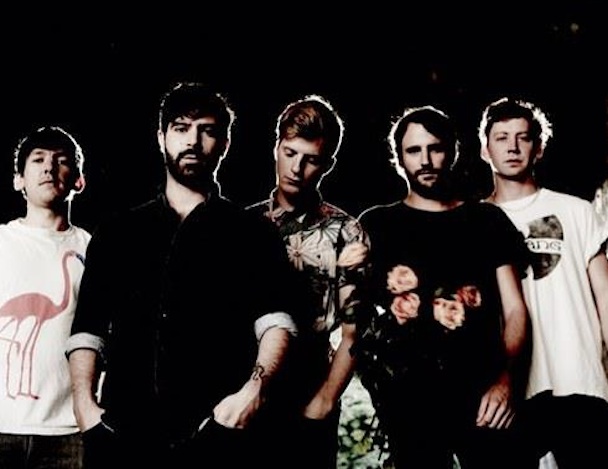 Foals