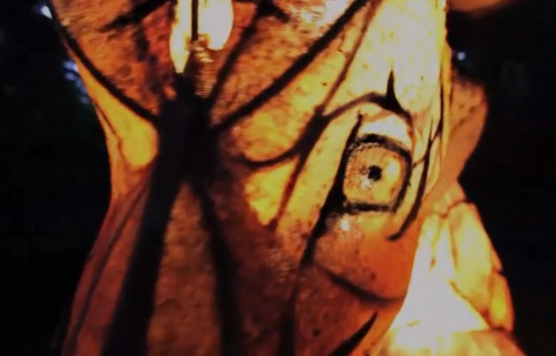 Pixies - "Andro Queen" video