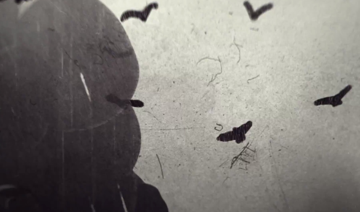 Savages - "Marshal Dear" video