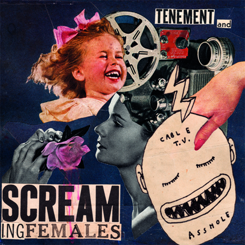 Screaming Females Tenement Split