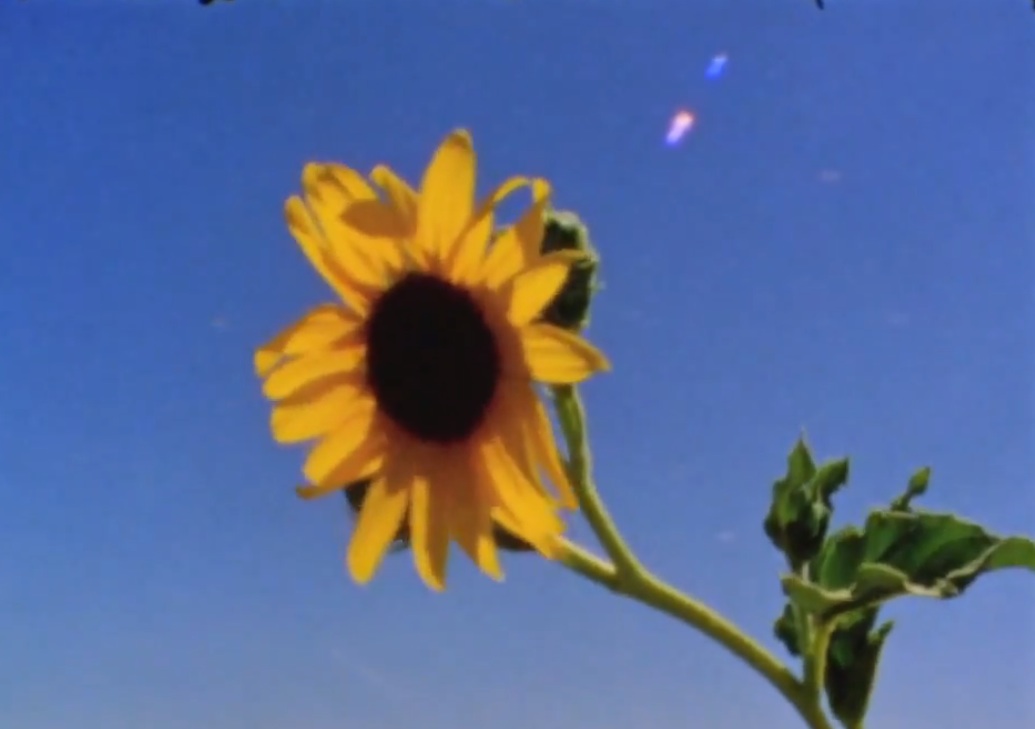 Woods - "It Ain't Easy" video