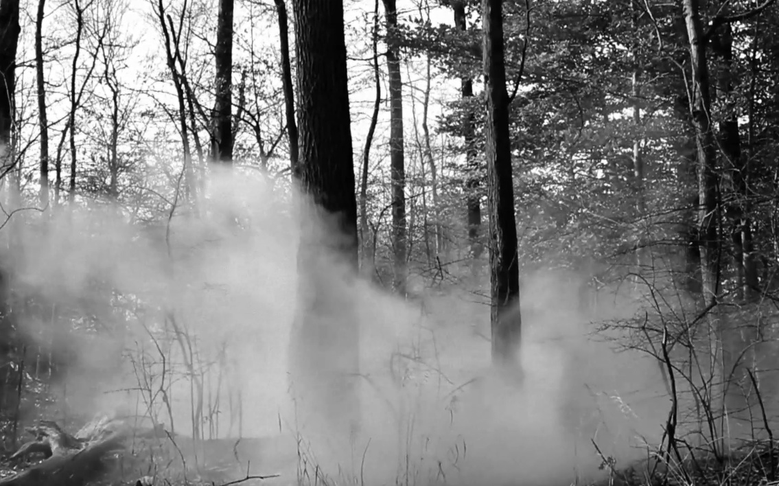 Yvette - "Radiation" video