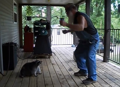Man Dances With Raccoon