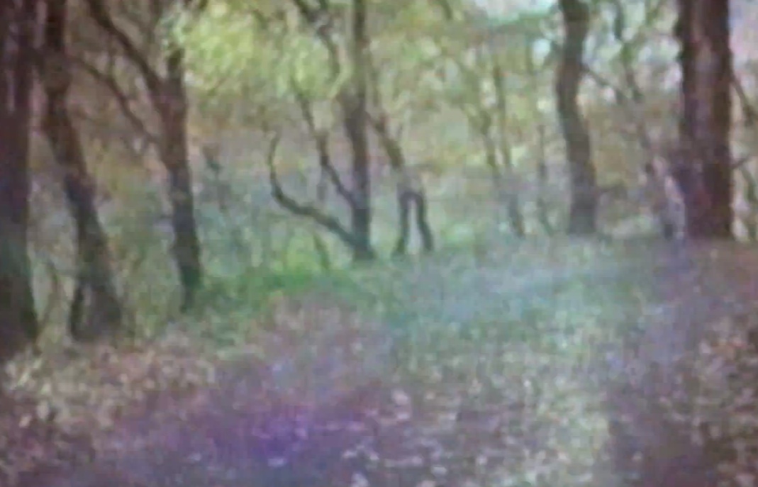 Bibio - "Dye The Water Green" video