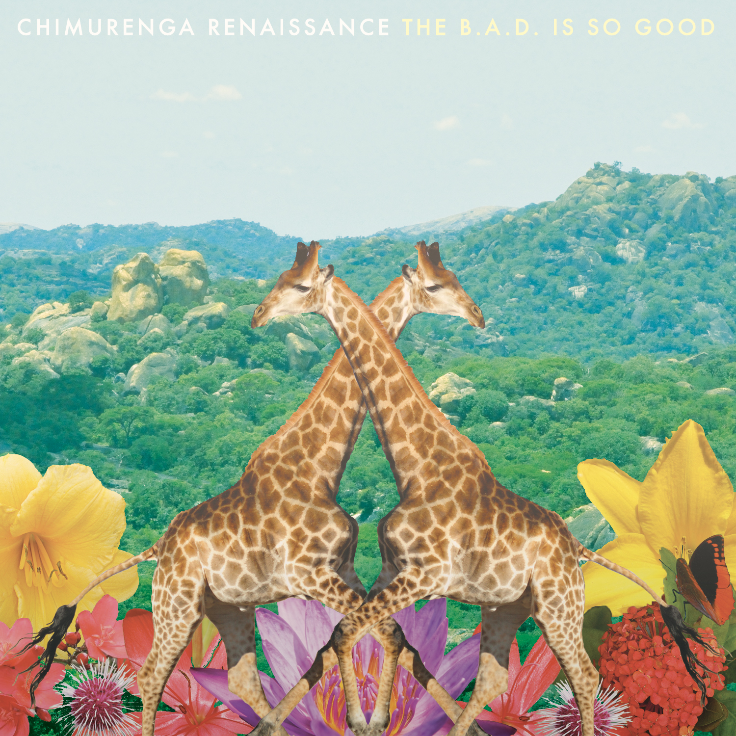 Chimurenga Renaissance - "The B.A.D. Is Good"