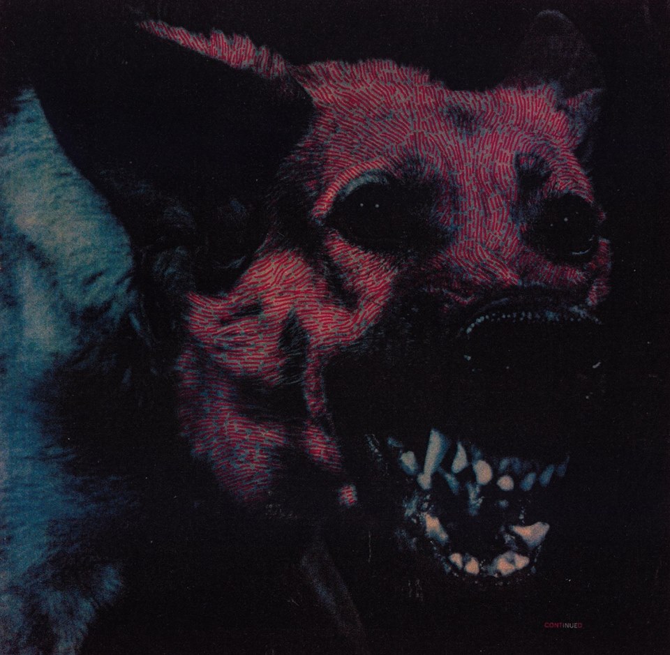 Protomartyr - Under Color Of Official Right