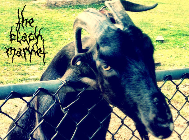 The Black Market: The Month In Metal – March 2014