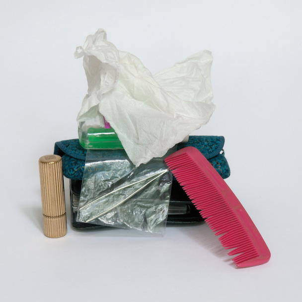 The Julie Ruin - "Brightside"