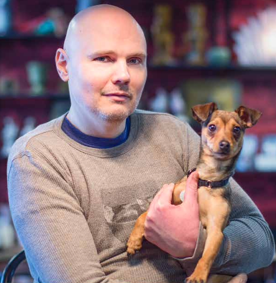 Billy Corgan puppy