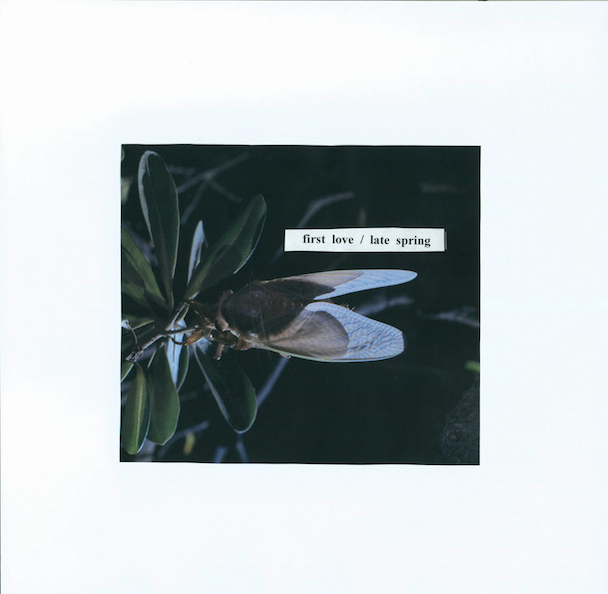 Mitski - "First Love/Late Spring" (Stereogum Premiere)