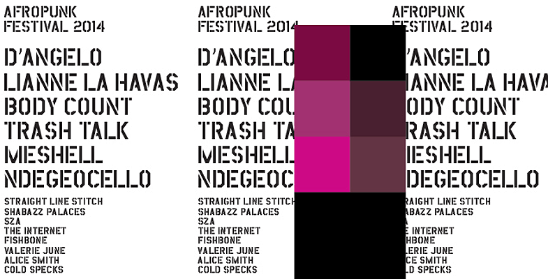 Afropunk 2014