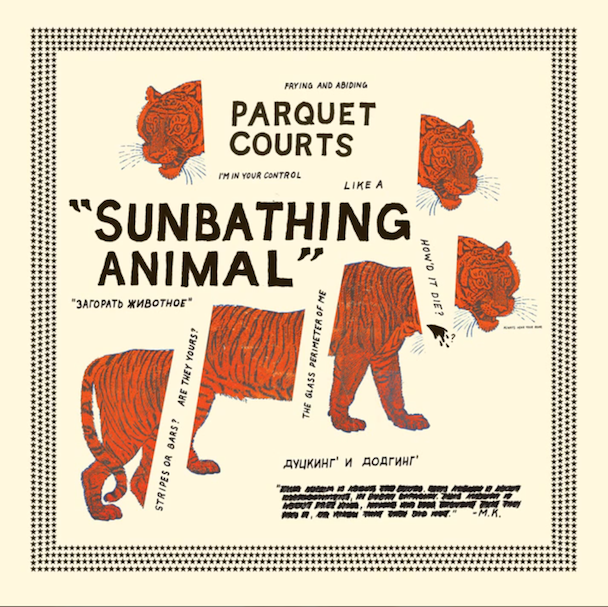 Parquet Courts - Sunbathing Animal