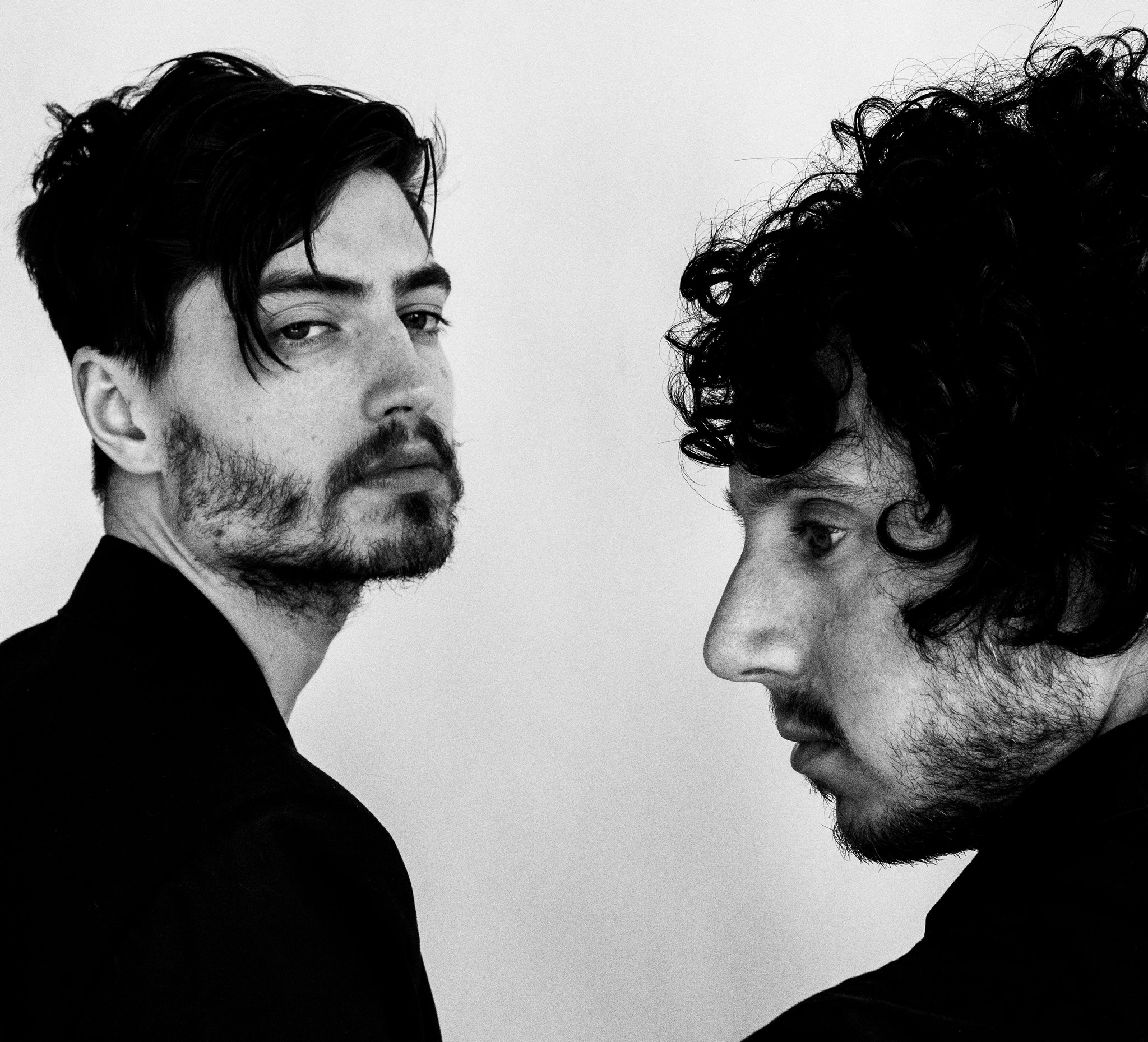 The Midnight Hollow - "Rabbit Talk"