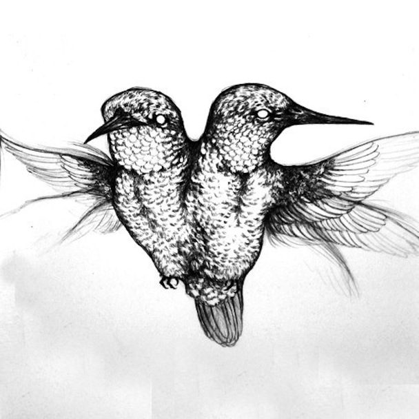 Courtship Ritual - Pith