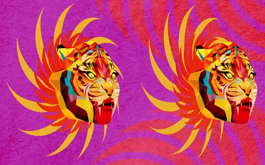 Sufjan Stevens - "Year Of The Tiger" video