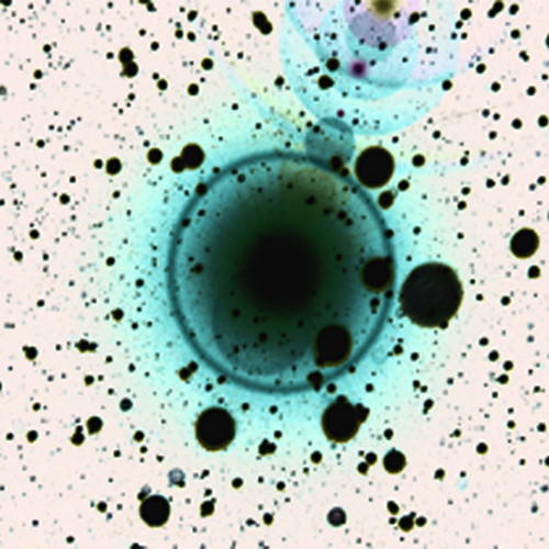 Zero 7 - Simple Science