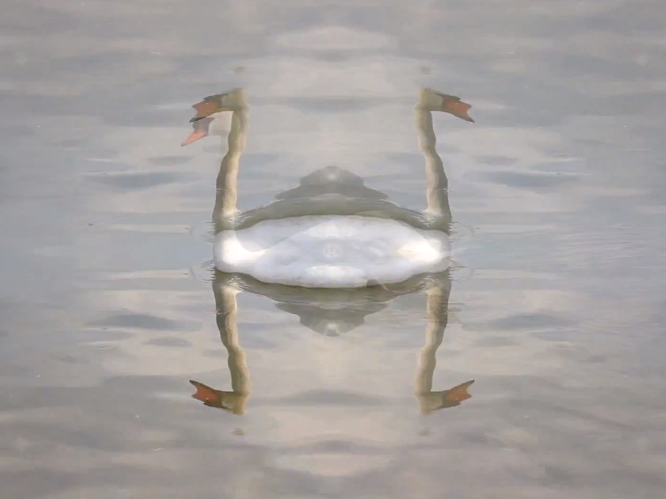 Austra - "Doepfer" video