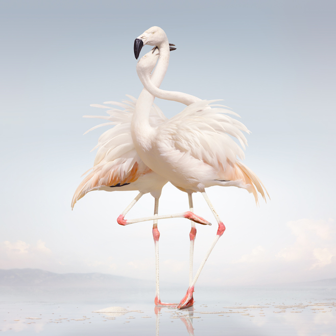 Rustie - Green Language