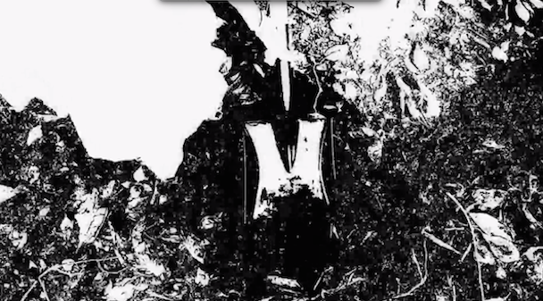 Coral Cross - With A Lancet