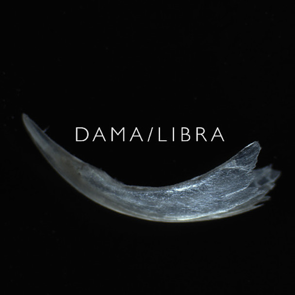 Dama/Libra - Claw