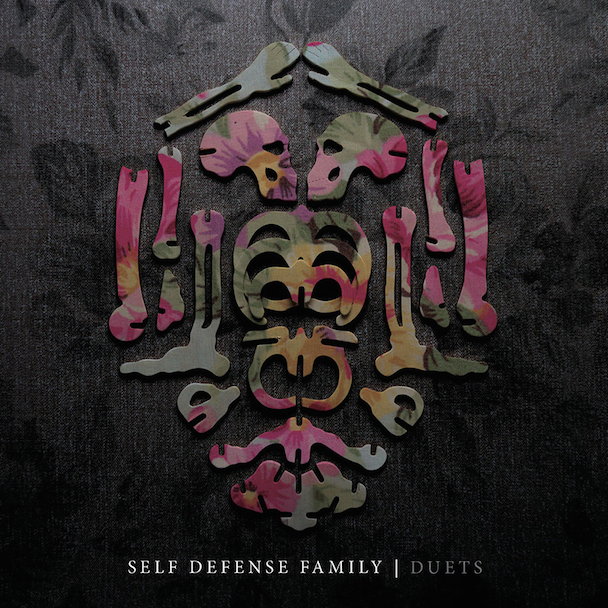 Self Defense Family - "Been Passed On" (Stereogum Premiere)