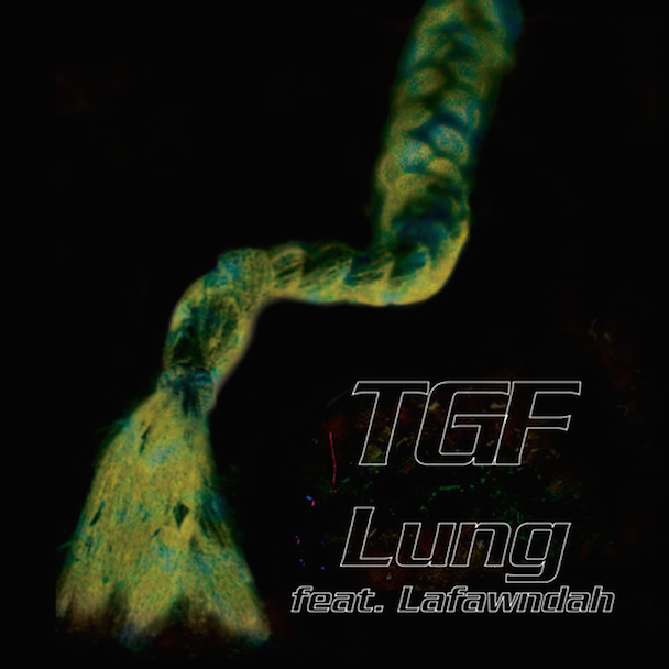 Teengirl Fantasy - "Lung" (Feat. Lafawndah)