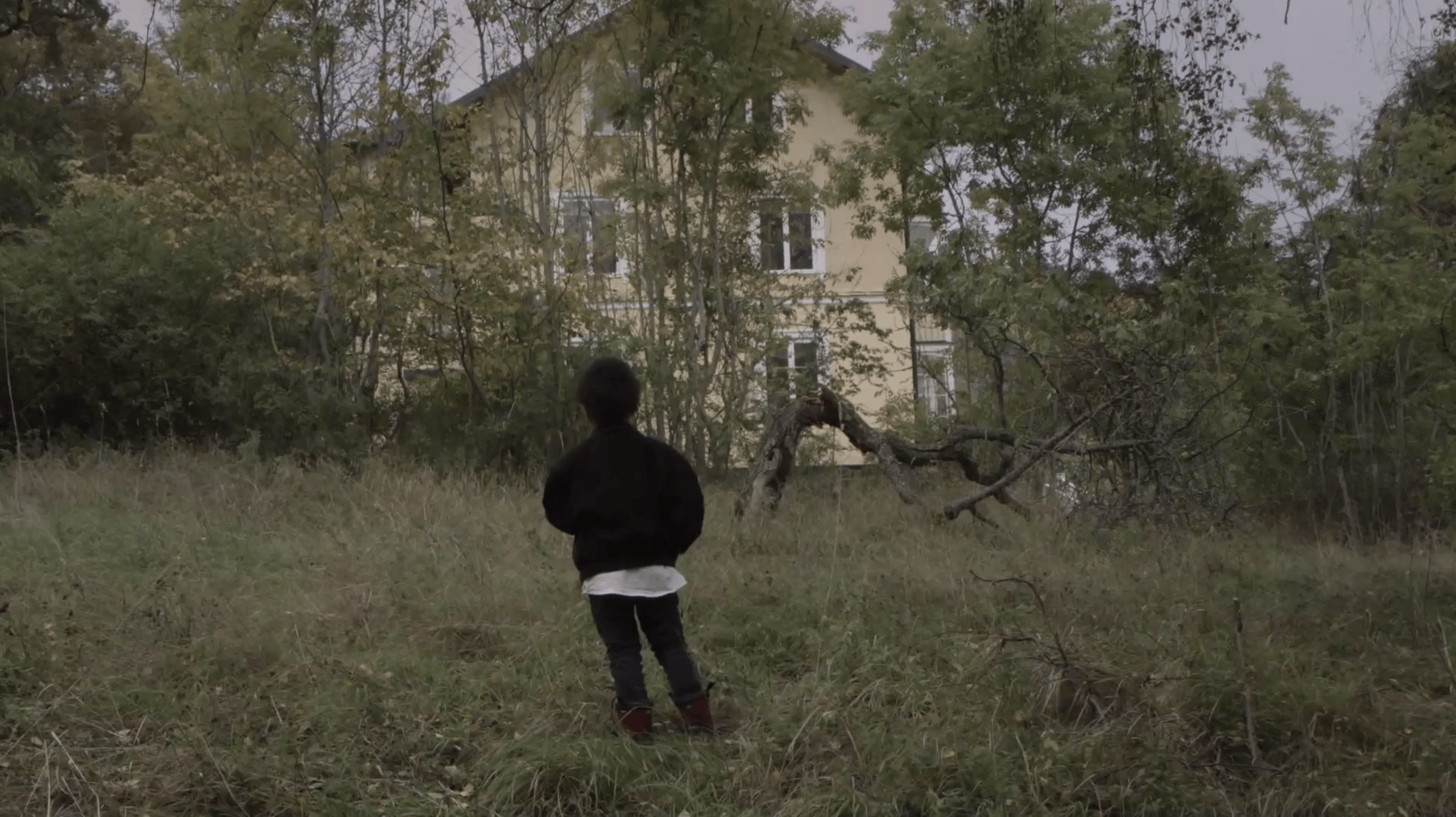 Thurston Moore - "Speak To The Wild" Video