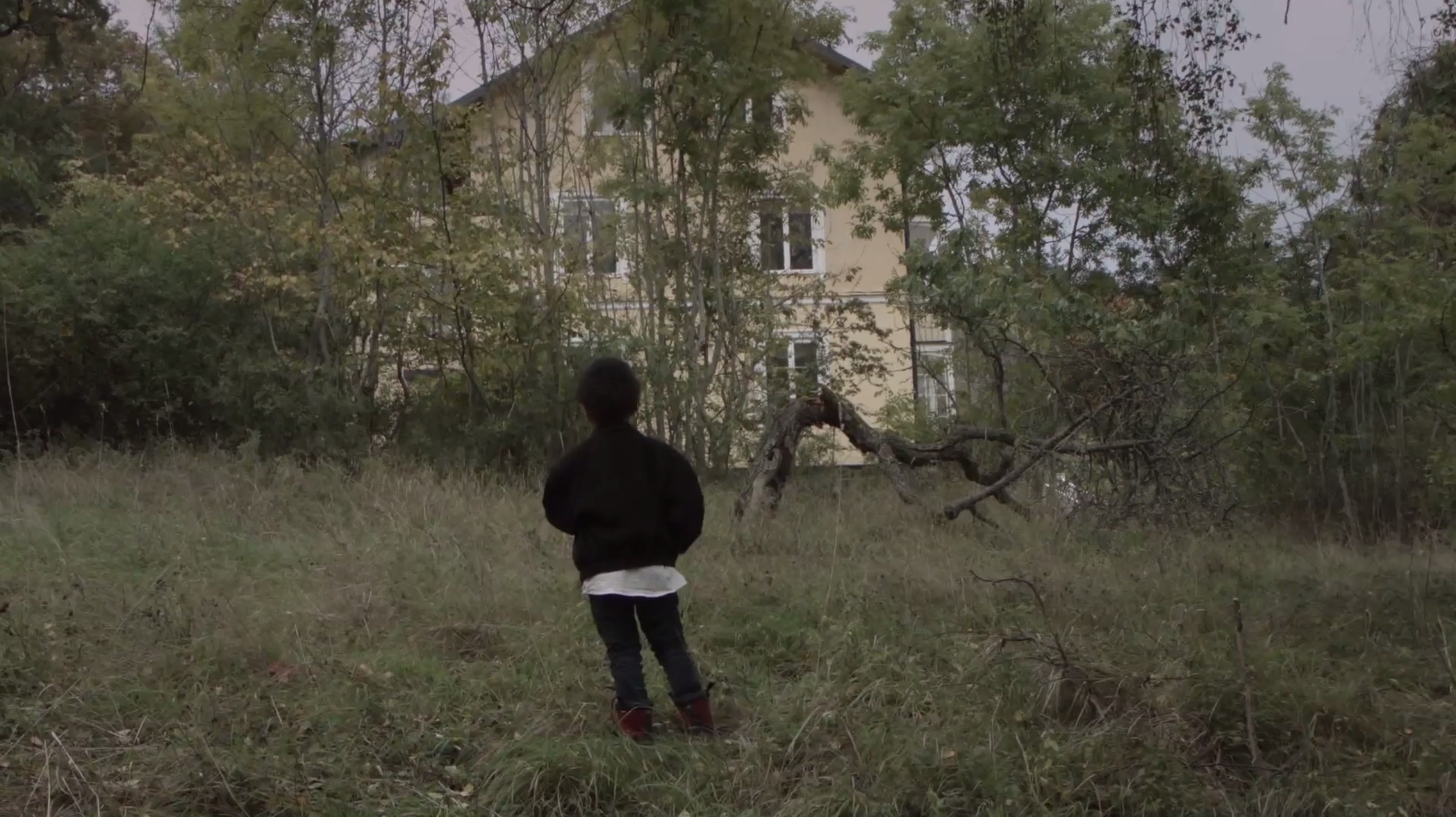 Thurston Moore - "Speak To The Wild" Video