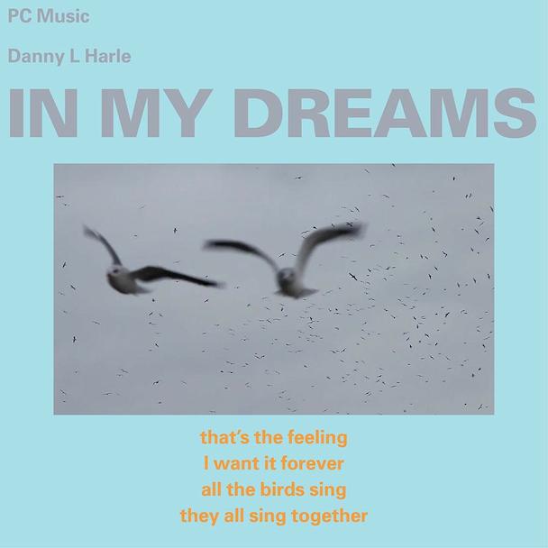 Danny L Harle - "In My Dreams"