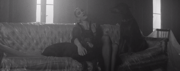 Niia - "Body" Video + The Range Remix