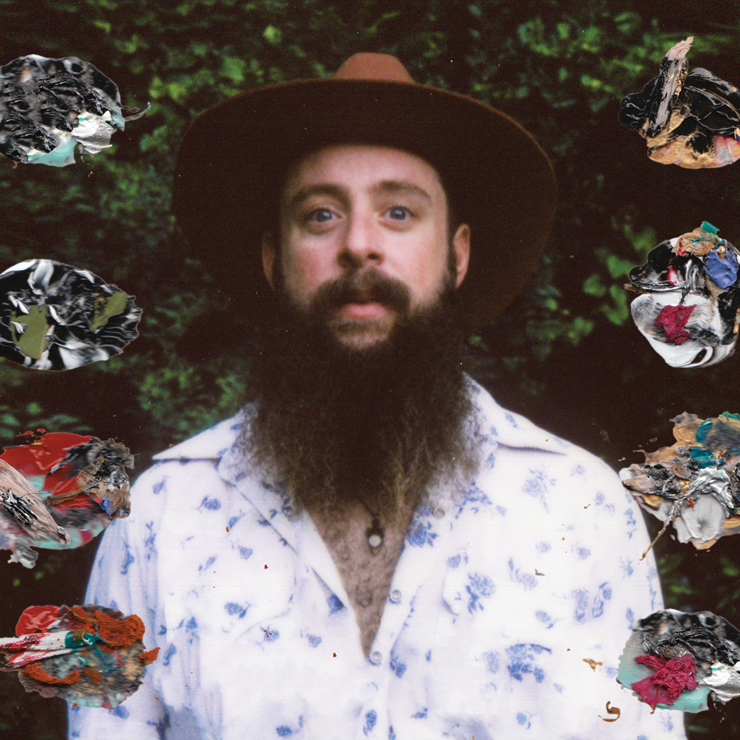 Tall Tall Trees- Picture Picture