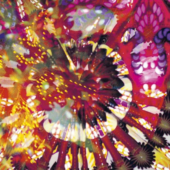 Caribou - CVE Live 2011