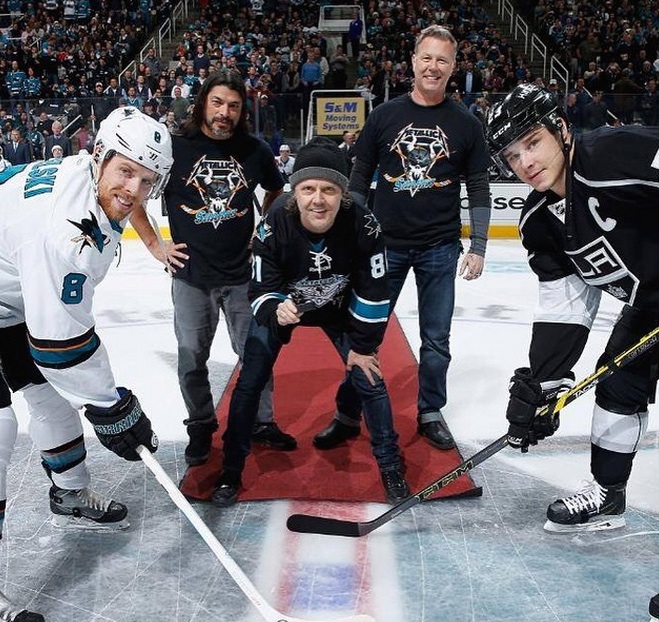 Metallica Sharks