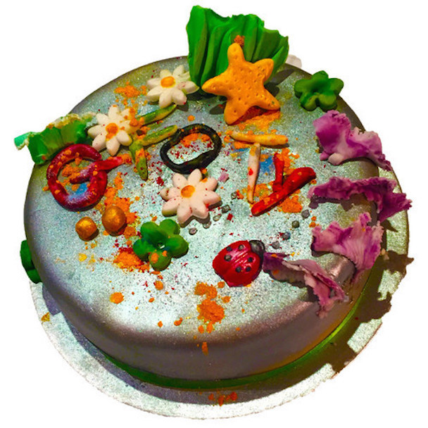 GFOTY - "All The Small Things" (Blink-182 Cover)