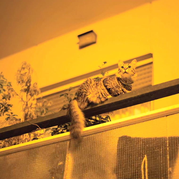 Sam Prekop - The Republic