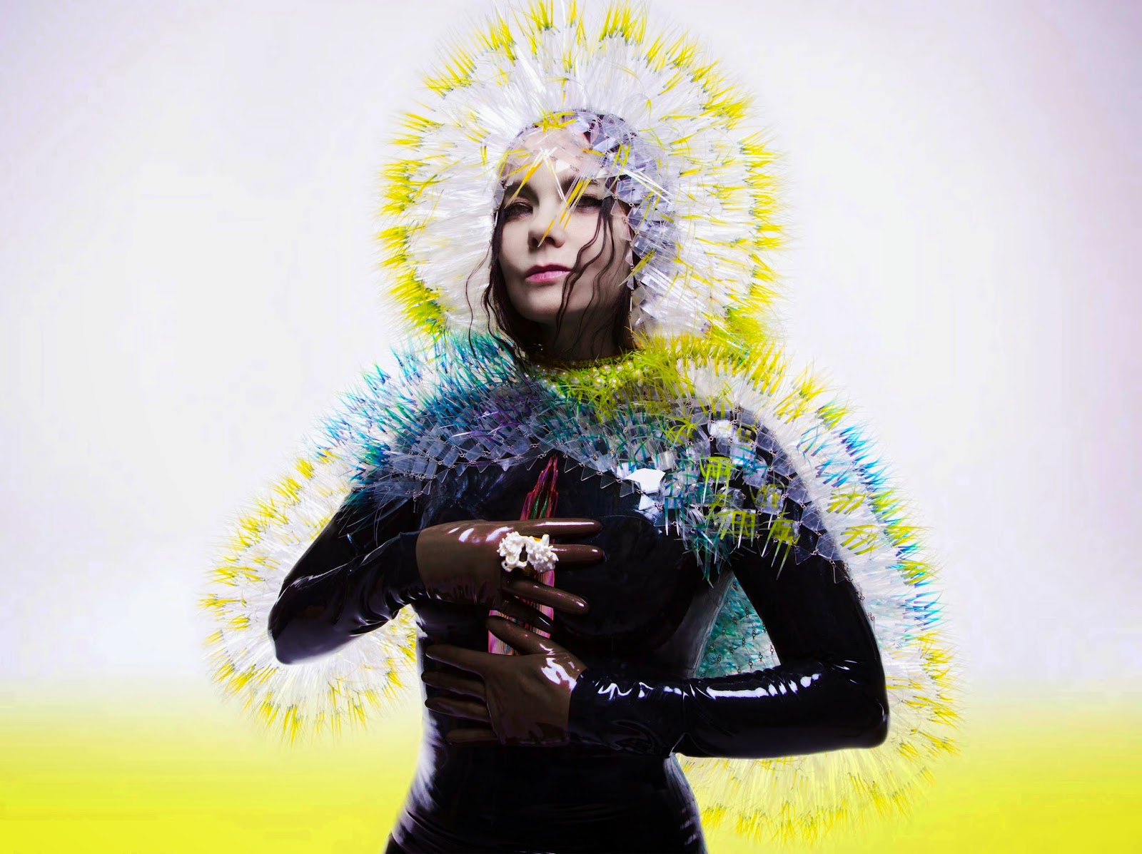 Björk Vulnicura