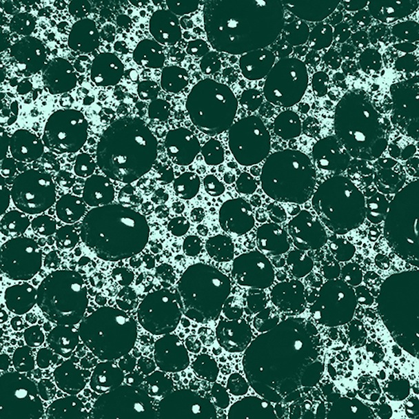 Beech Creeps Arm Of The T-Rex