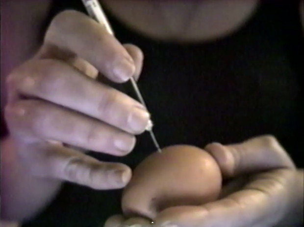 Mega Bog - "Wet Moss" Video (Stereogum Premiere)